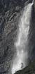 Yosemite waterfall and lone tree.jpg
